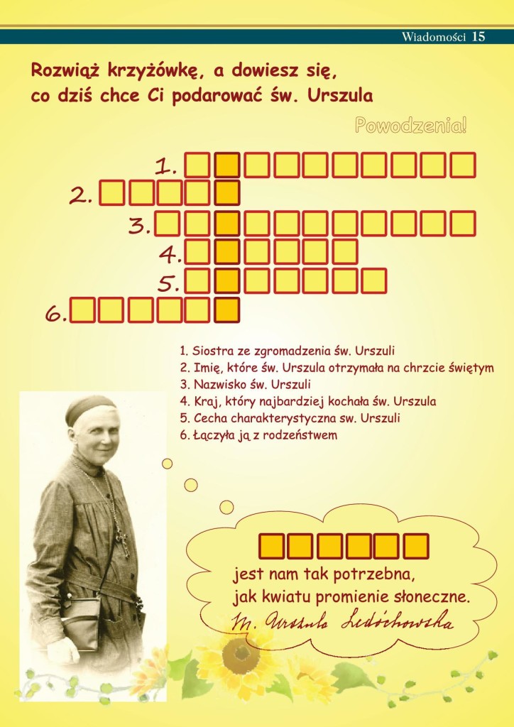 15WIADOMOŚCI_5internet